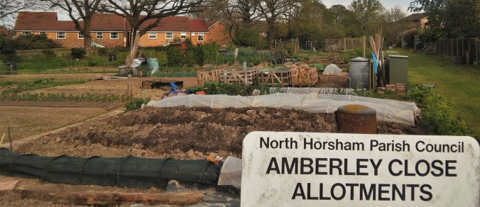 Allotments 1