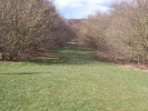 Earles Meadow